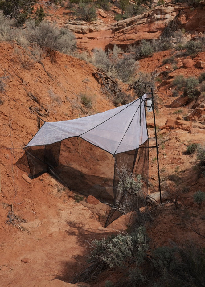 Townes Style Malaise Trap V2