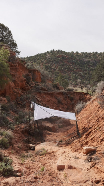 Townes Style Malaise Trap V1
