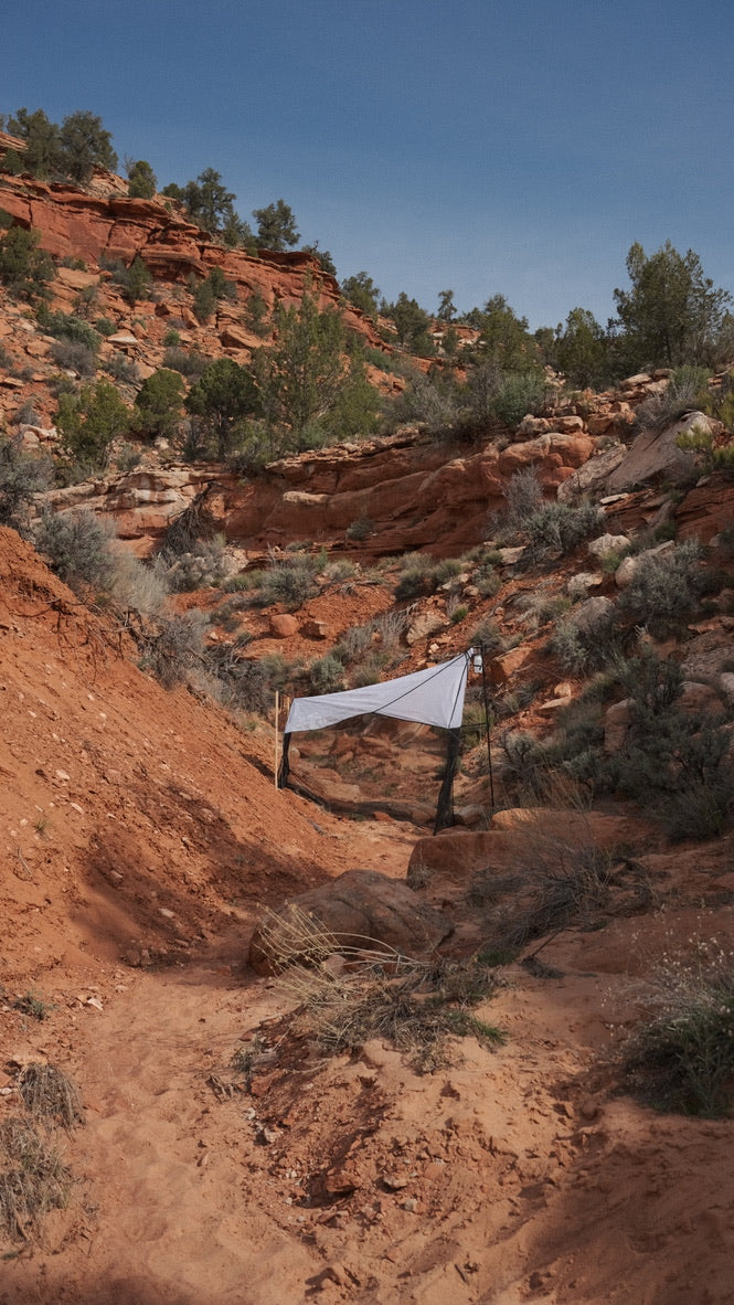 Townes Style Malaise Trap V1