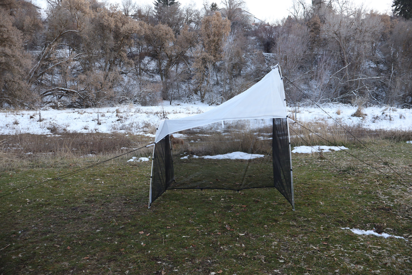 Quick Set Malaise Trap V1