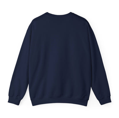 CT Mountain Navy Sweatshirt